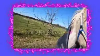 your still in my heart💓//haileyshorses 🚕💓