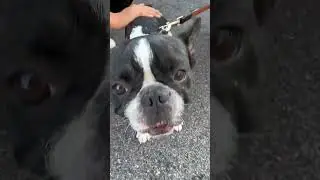 🥹 Reaction dei miei fratelli al tatuaggio fatto per loro