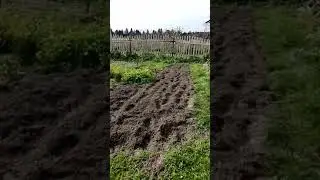 Выход из социальной системы- жизнь в деревне