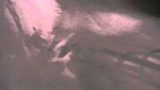 Алькантара чёрная