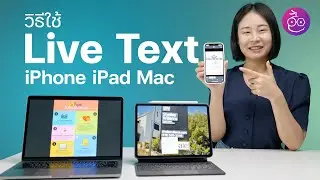วิธีใช้ Live Text ดึงข้อความจากภาพ บน iPhone, iPad, Mac มีประโยชน์มาก! | How to | iMoD