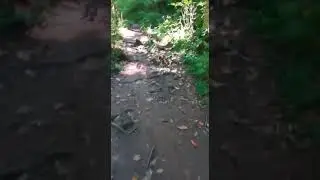 Река Курджипс. Спуск в сторону от водопада. Поселок Мезмай