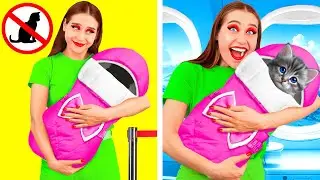 Как Пронести Домашних Животных в Самолёт | Сумасшедший Челлендж от Fun Fun Challenge