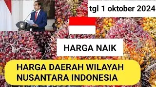 kejutan di awal bulan harga sawit kian meroket#hargasawit
