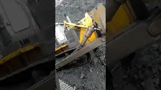 Шантуй забирается на угольную полку.