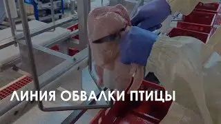Линия обвалки птицы HD-7/7 FELETI | Chicken cone deboning line