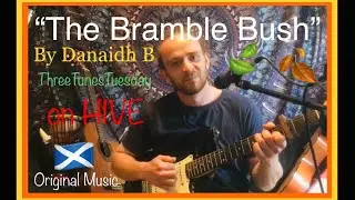 The Bramble Bush by @Danaidh #music #newmusic #music2023 #originalmusic #musician