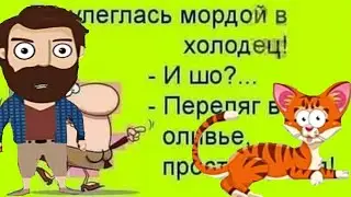 хозяин и мурзик смешные видосы и мемы собака немец,рисунок Владона....(Пародия)