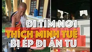 Có thật Sư Thích Minh Tuệ tự nguyện ẩn tu?- Andrew Lê & PhoBolsa vs. TQH & N10tv Khai Chiến