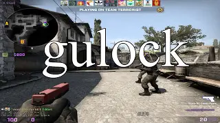 Dingus Fiesta 3