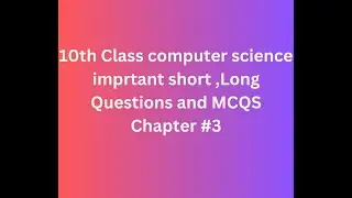 Class 11 Computer Science Chapter 3 Important Questions