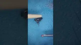 Жадная блоха попала на видео