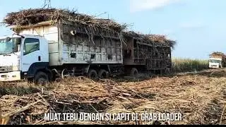 Si Segesit CAPIT GRAB LOADER!! Saat Operasi di Areal ILP LAMPUNG