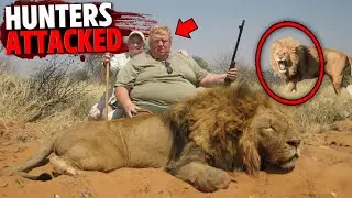 These 3 Animals Took REVENGE on Savage Hunters!