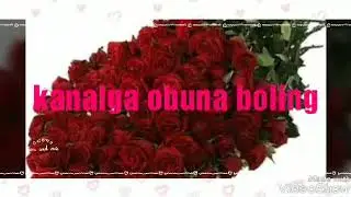 Sherni zori yangi kilip