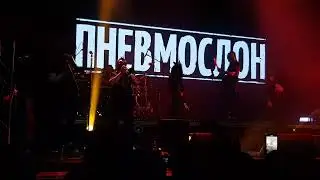 Пневмослон- Если б мог, то спиздил( фестиваль ПЛЯЖ, Екб, 05.01.2024)