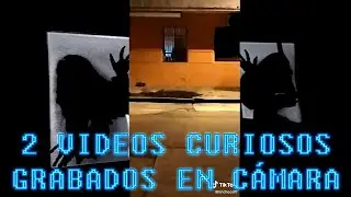 2 VÍDEOS CURIOSOS GRABADOS EN CÁMARA