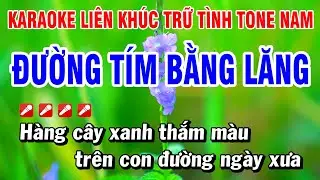 Karaoke Liên Khúc Trữ Tình Tone Nam Nhạc Sống Dễ Hát - Đường Tím Bằng Lăng | Hoài Phong Organ