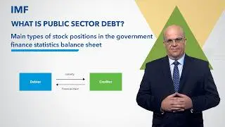 Main types of stock positions in the government finance statistics balance sheet