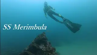 Freediving Jervis Bay (SS Merimbula) 2021
