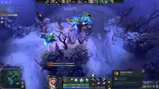 Dota Gamer Moment