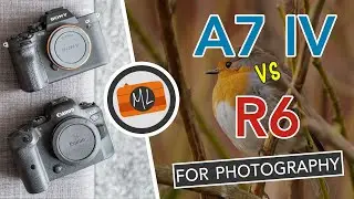 Sony A7 IV vs Canon R6 In-Depth Comparison - Part 1: Photography