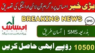 8171 Apply Free 2024 |10500 New Qist Kab Aye Gi |BISP 8171 portal news |ehsaas program 2024