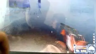 Сталкер с друзьями