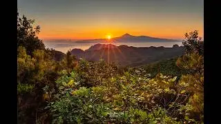 Batoro Project   A New Day of Living