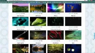 How To Set Live Animated Wallpaper To Your Desktop/PC
