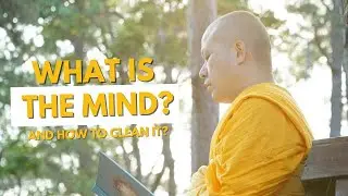 What is the mind and how to clean it?