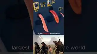 Largest tongues in the world size comparison!🔥 