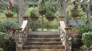 #KozWed
