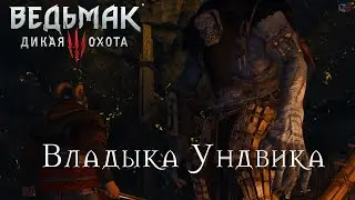 Ведьмак 3 