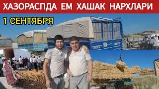 ХАЗОРАСПДА ЕМ ХАШАК НАРХЛАРИ 1 СЕНТЯБРЯ 2024.Г