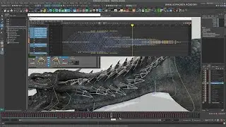 Dragon Behavior Study - Week 09 (preview)