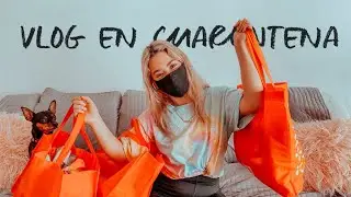 VLOG LIMPIANDO MI APARTAMENTO + VOY AL SUPERMERCADO EN CUARENTENA