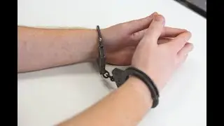 Задержали московского экс-министра Кибосккого!... За что?