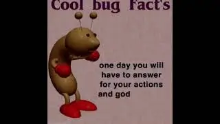 Cool bug facts!