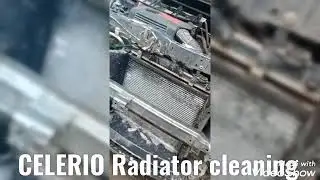 Maruti Suzuki Celerio radiator cleaning...#celerio #celerio2021 #marutisuzuki #maruticelerio