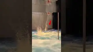 When a bug is part of a program