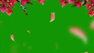 Nature Green Screen /Background Video Effects hd/Falling Rose Petals Animation /Green Screen Effects