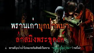 พรานเก่าบุกป่าพม่า ล่าสมิงพระธุดงค์ | คนขี้เล่า