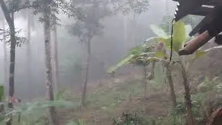 Foggy day at the mountain!