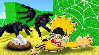 I STOLE THE EVIL SPIDERS' EGGS 🕷️ Roblox