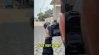 Lensa Tele Terbaik dari Sigma