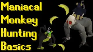 Basic Maniacal Monkey Hunting Guide 2021 (OSRS)