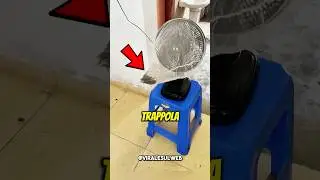 TRAPPOLA PER ZANZARE ASSURDA😲 