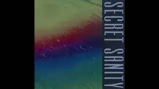 Secret Sanity - Don't Follow Me