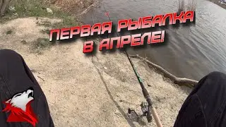 От Новичка в Спортсмены! Выезд на рыбалку! Первая рыбалка в Апреле! Краснодарский Край!